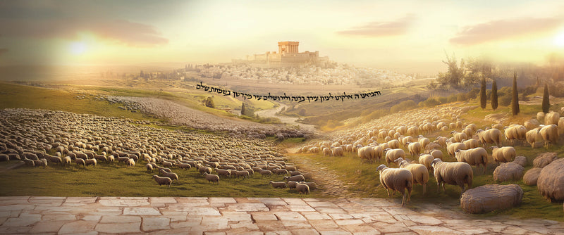 Byis hamikdosh far view